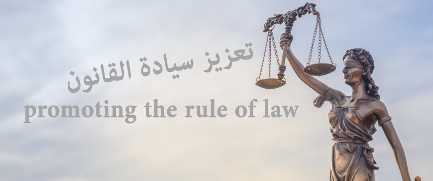 The role of civil society in promoting the rule of law