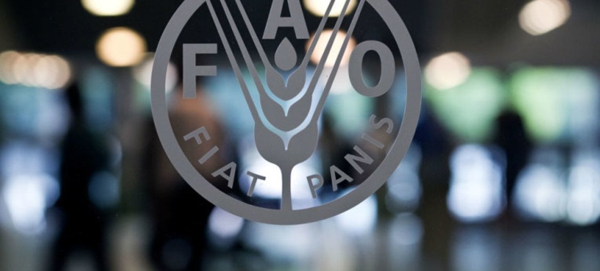 FAO Warns of Food Catastrophe, Red Cross Calls for Safe Evacuation of Residents