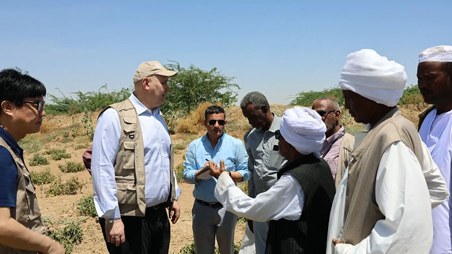 FAO: Funding and Access Key to Preventing Famine in Sudan
