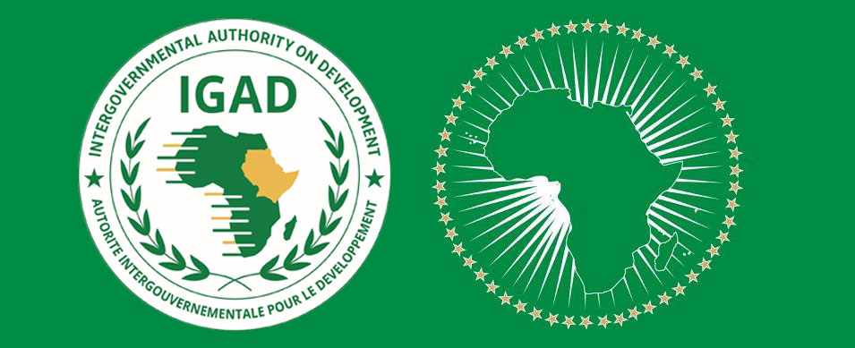 African Union and IGAD Warn of Erosion of Sudans Unity