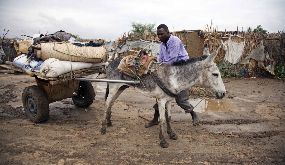 انعدام الغذاء يودي بحياة العشرات في معسكر نازحين بجنوب دارفور