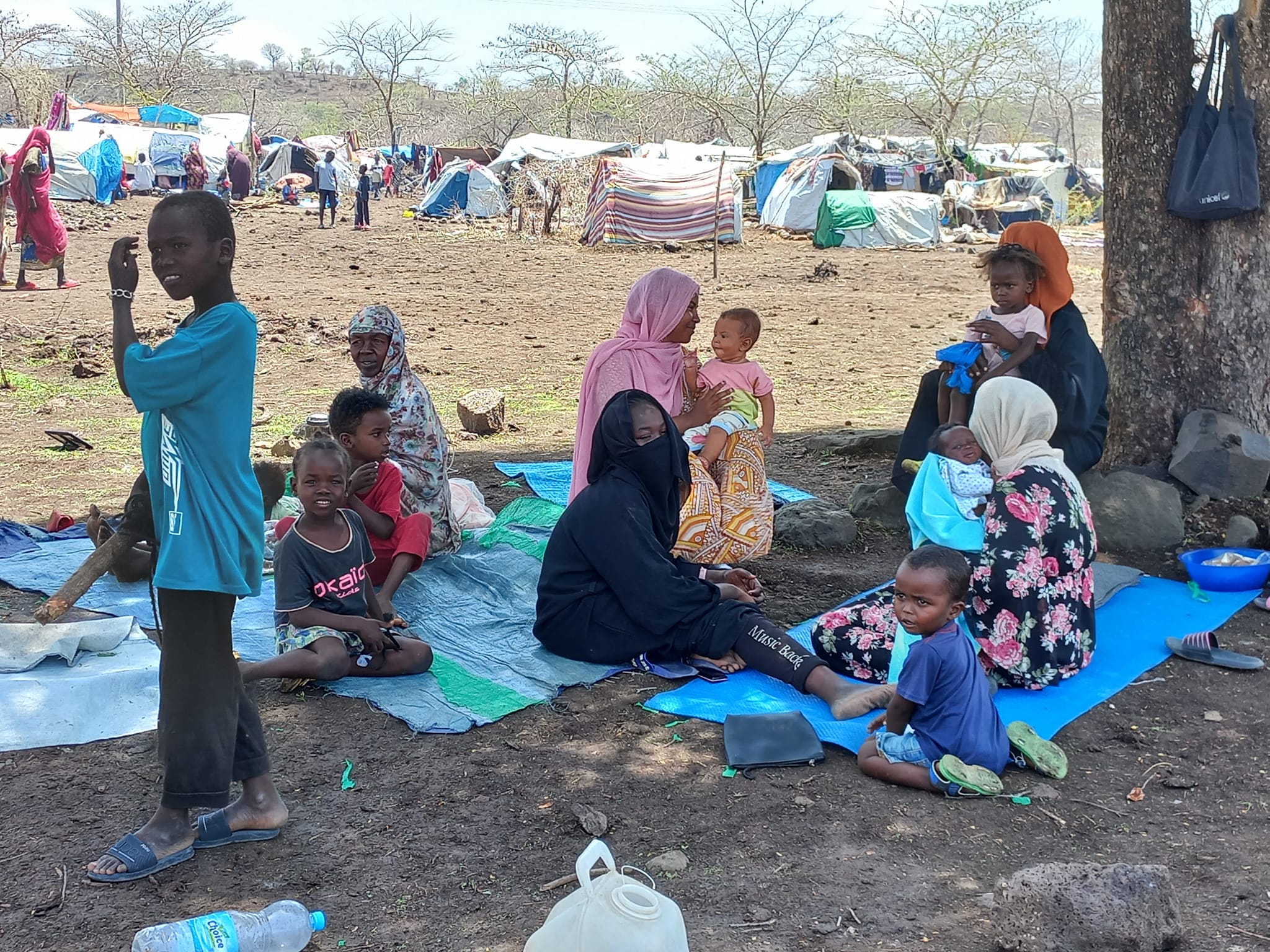 تنسيقية اللاجئين بإقليم الامهرة: بيانات مفوضية اللاجئين غير صحيحة