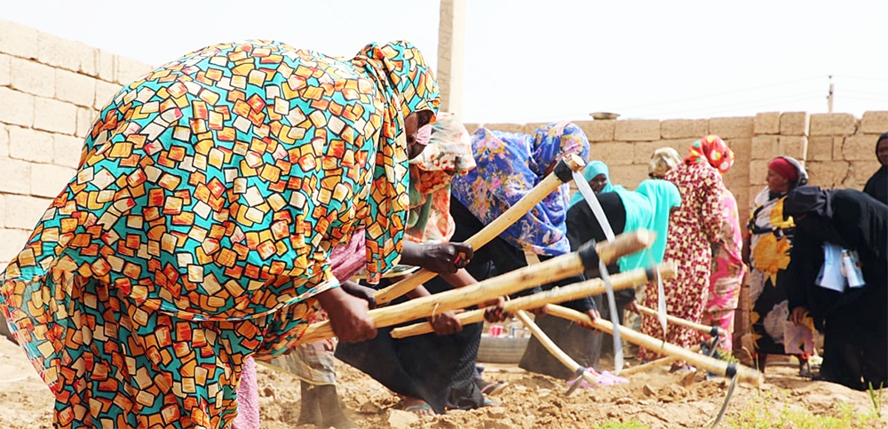 Sudanese Women Overcoming Displacement Challenges through Agricultural Production