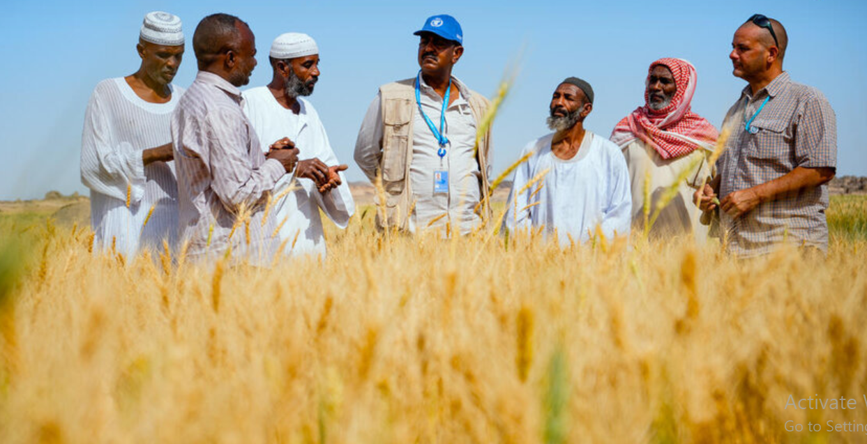 Sudans Farmers Battle Hunger Amid War
