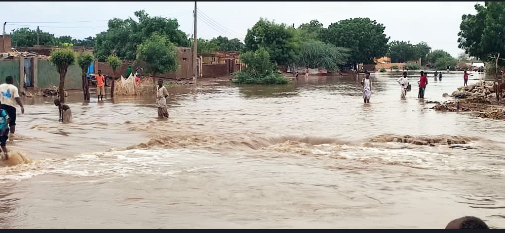 Displaced People in Kassala Facing High Rent and Seasonal Disasters