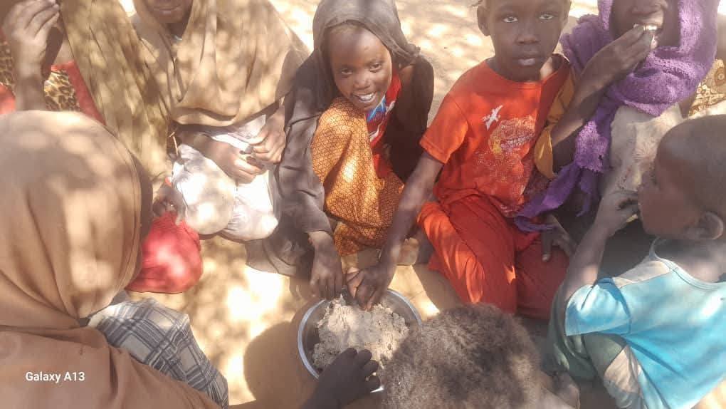 War Devours Sudan’s Future: The Deadly Trio of Hunger, Disease, and Sexual Violence Targets Children