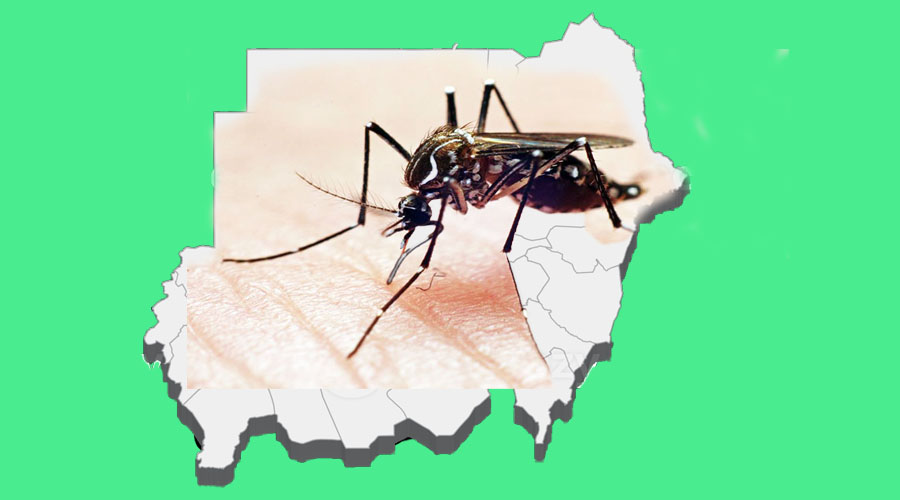 Dengue Fever Sweeps Sudan as War-Damaged Infrastructure Crumbles