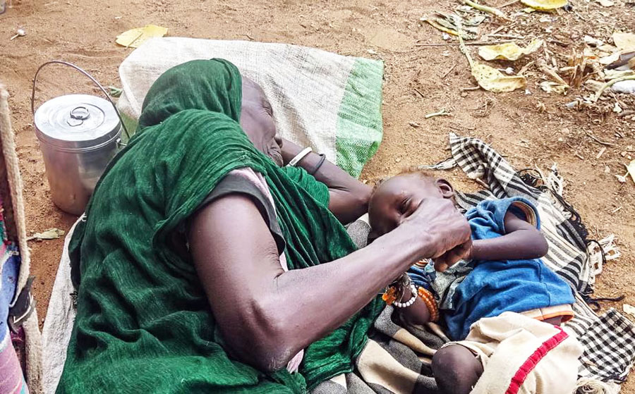 A donkey cart out of El Fasher costs more than a new car