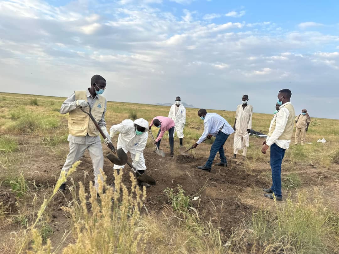 Bodies on the Road: El Fasher–Tawila, the Journey of Death to Escape Death