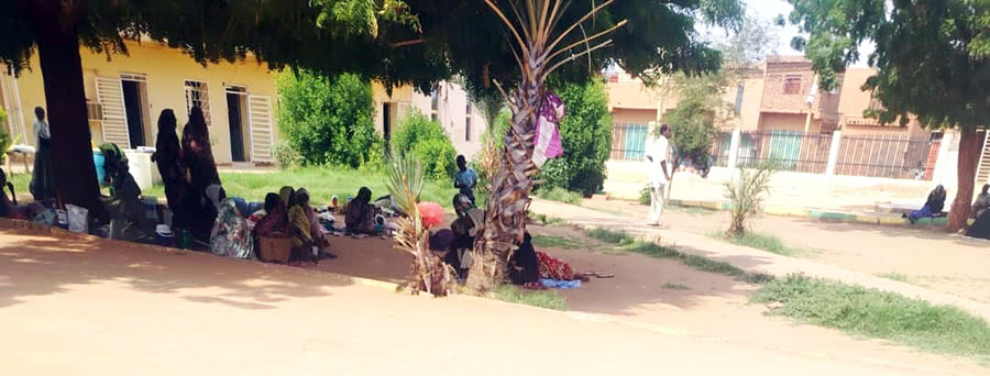 Dengue... Severe Fever Eating Away the Bones of East Nile