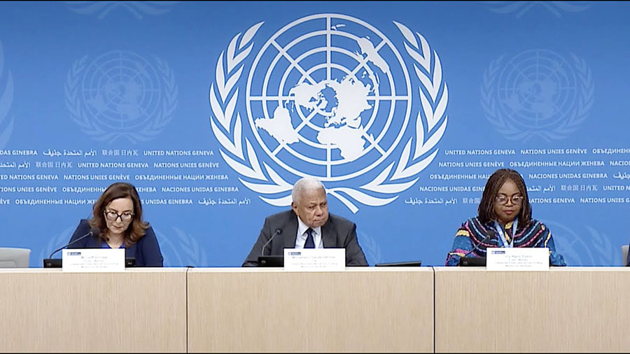 24 Countries Vote to Extend the Mandate of the Independent HRM in Sudan