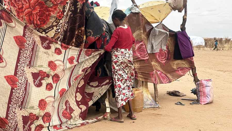 آفاق العدالة في السودان: حوار مع إيلاريا مارتوريلي، المركز الدولي للعدالة الانتقالية