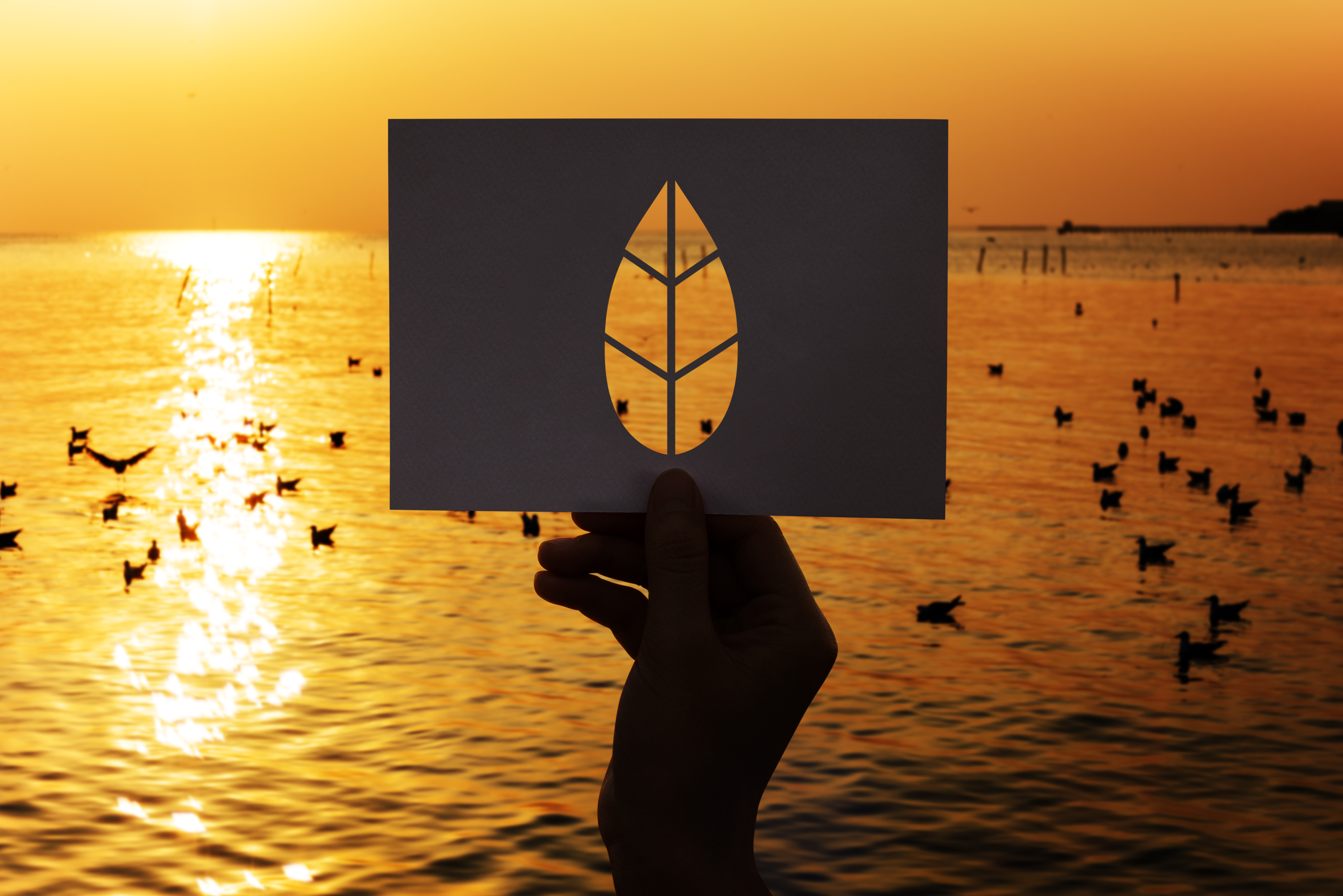 عندما تصبح الهدنة مجرد مناورة