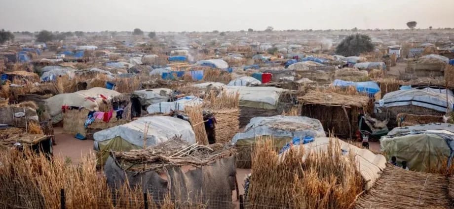 One Thousand Days of War Turn East Darfur into a Vast Displacement Camp