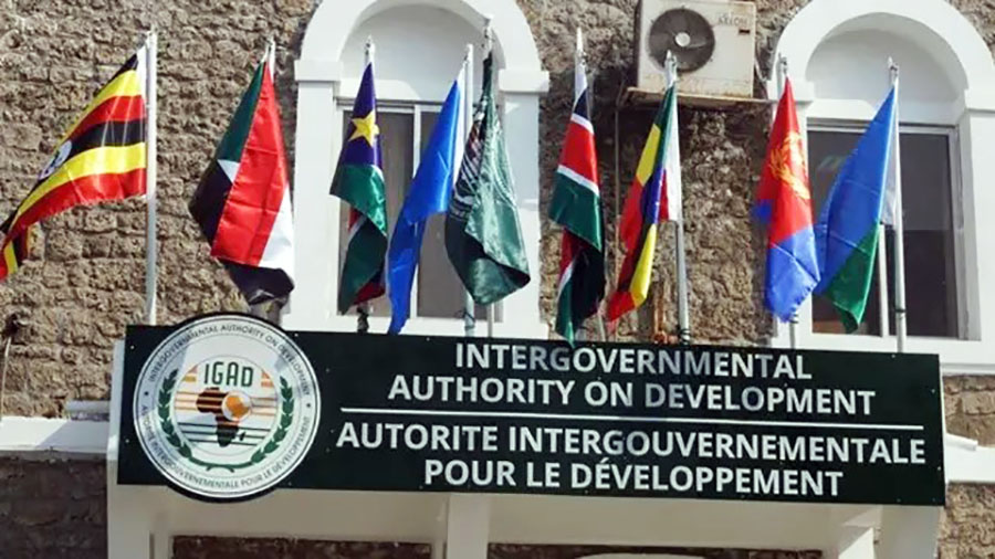 Sudan’s Return to IGAD: Have the Reasons for Freezing Its Membership Disappeared?